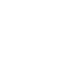 escudo 10